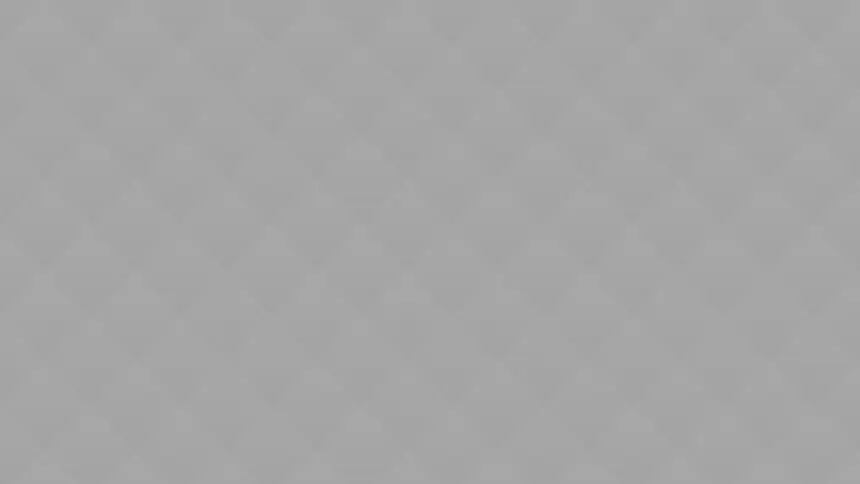 The Ultimate Guide to New York’s Favorite Food